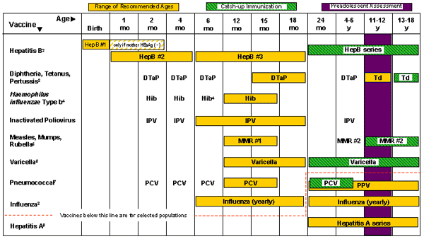 How do you find a CDC immunization chart online?